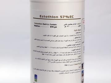 Ectothion