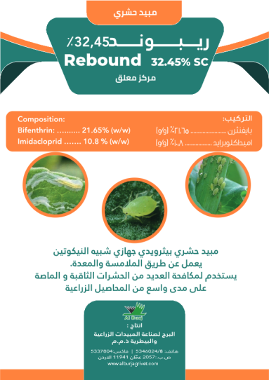 rebound