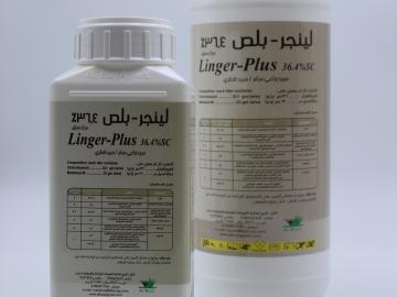 linger plus